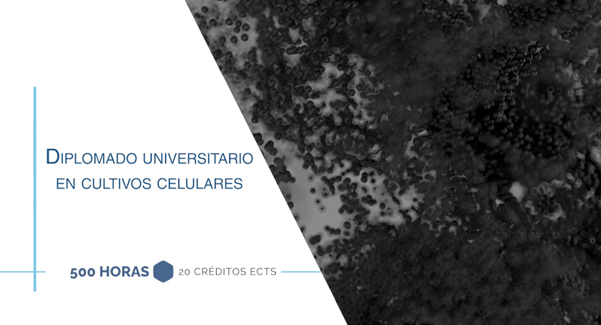 Diplomado Universitario en Cultivos Celulares