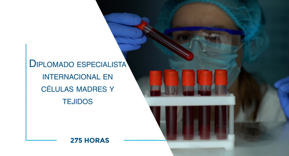 Diplomado especialista internacional en células madres y tejidos