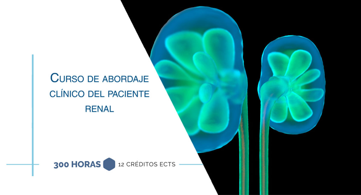 Curso internacional de abordaje clínico del paciente renal