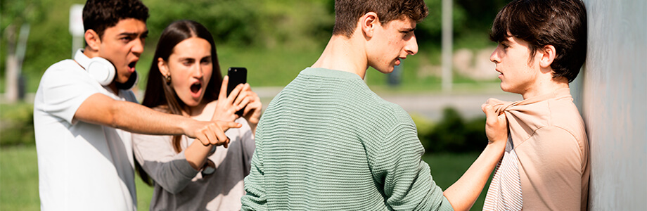 Experto universitario en Bullying