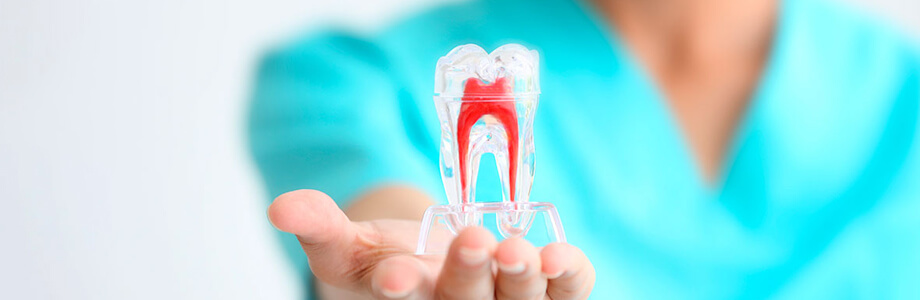 Experto Universitario en Enfermería Odontológica