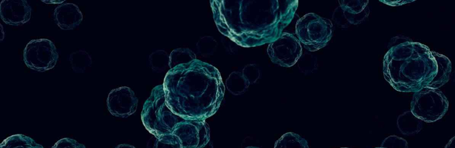  Diplomado universitario internacional en enfermedades infecciosas virales