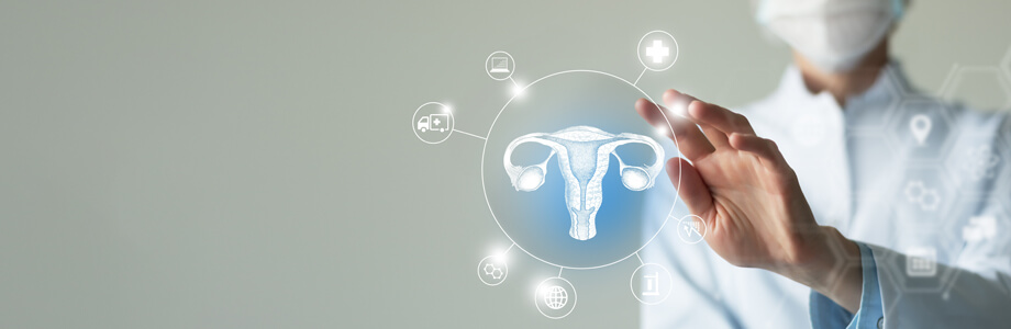 Máster de Formación Permanente en Obstetricia y Ginecología Enfermera: Maternidad y Salud Femenina