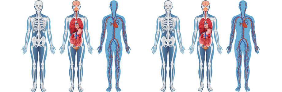 Curso Superior Universitario en Anatomía Patológica