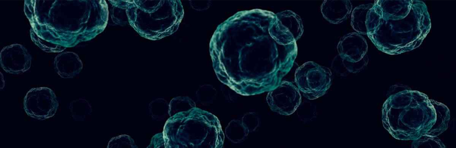 Curso en enfermedades infecciosas virales