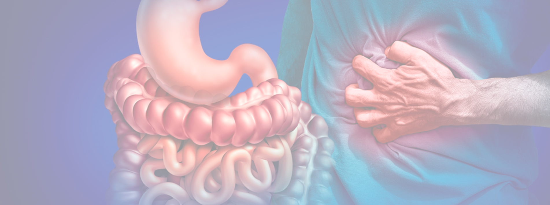 Curso en patología digestiva, renal y metabólica en el paciente crítico