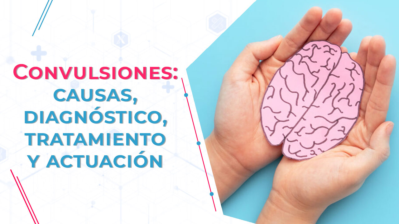 El cerebro es el órgano más complejo e importante de nuestro cuerpo.