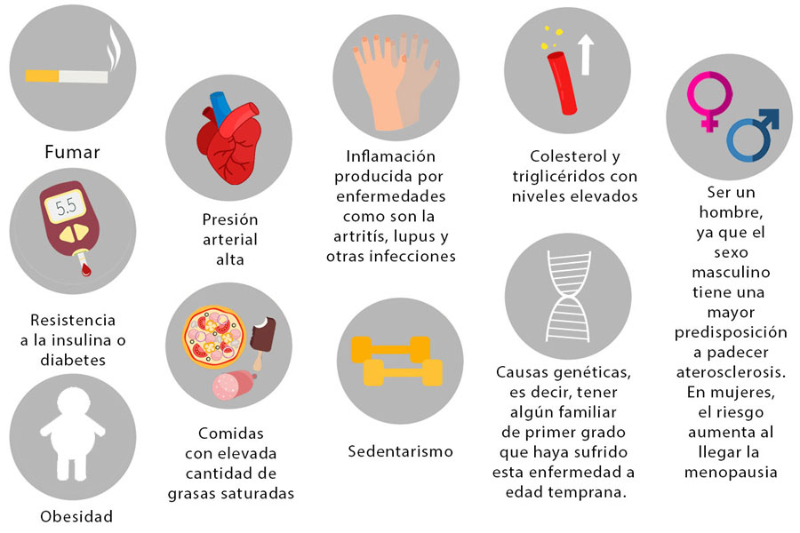 Causas de la aterosclerosis