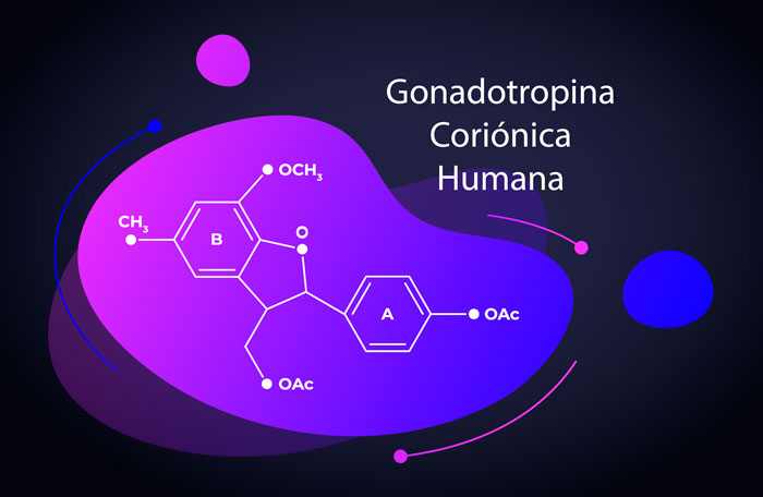 Gonadotropina coriónica humana