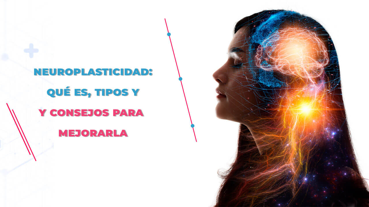 Neuroplasticidad