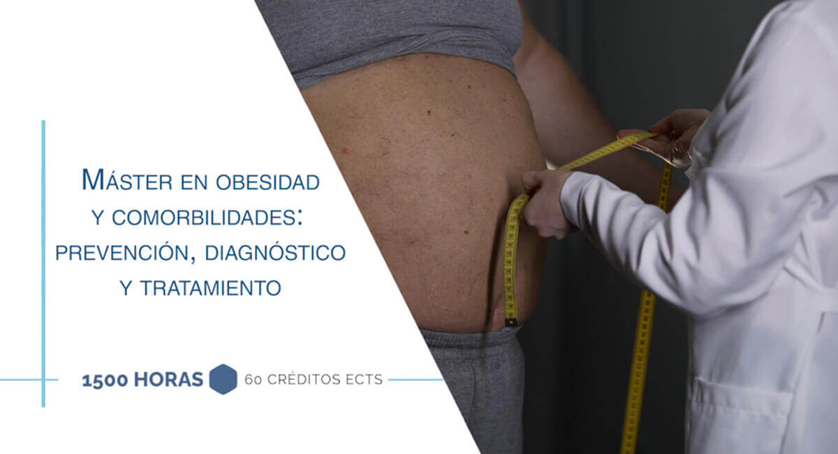 Máster en obesidad y comorbilidades. Prevención, diagnóstico y tratamiento