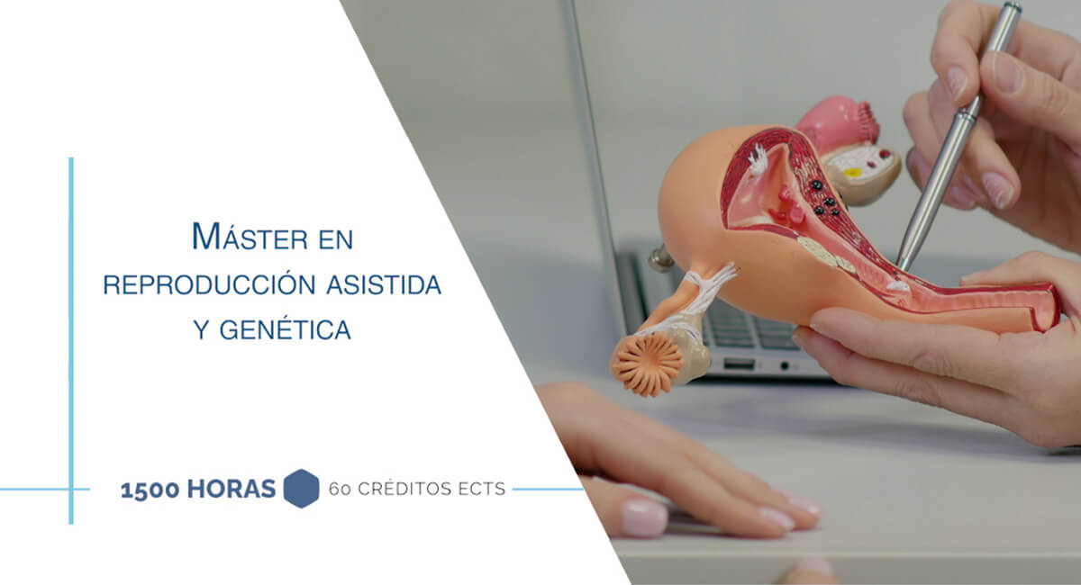 Máster en reproducción asistida y genética