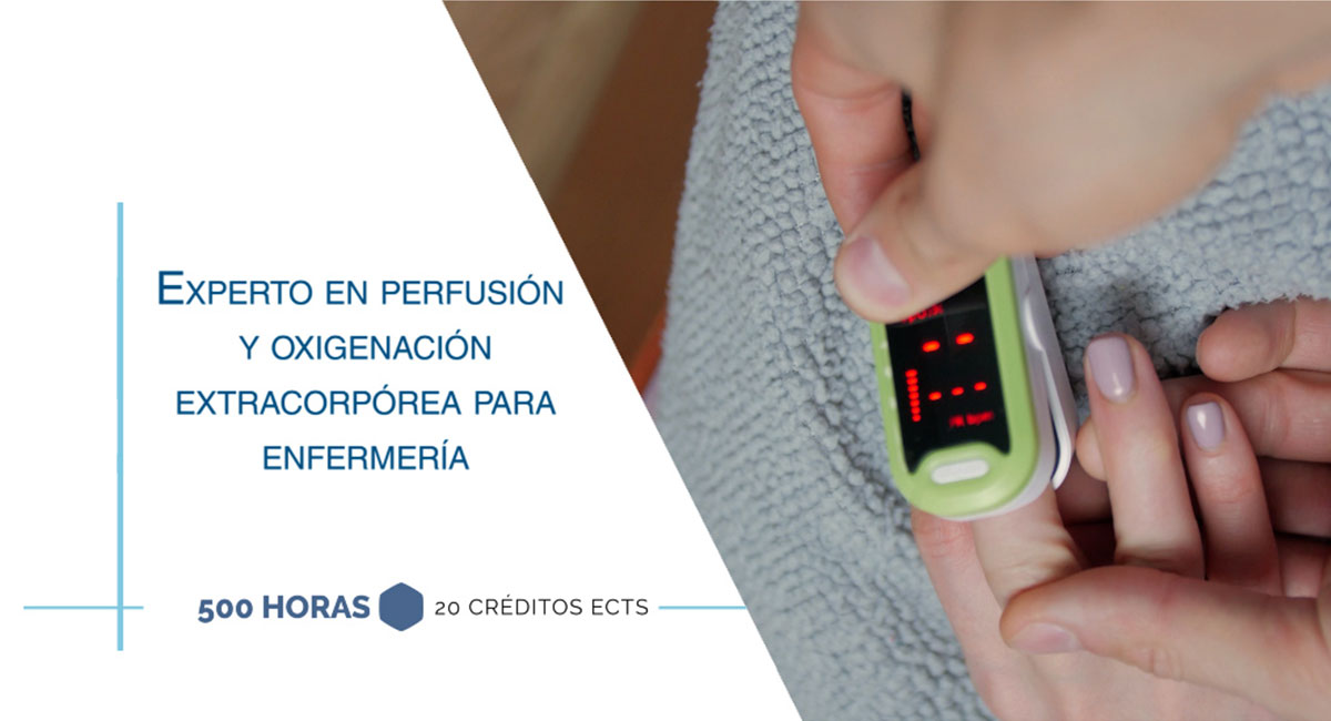 Experto en perfusión y oxigenación extracorpórea para enfermería