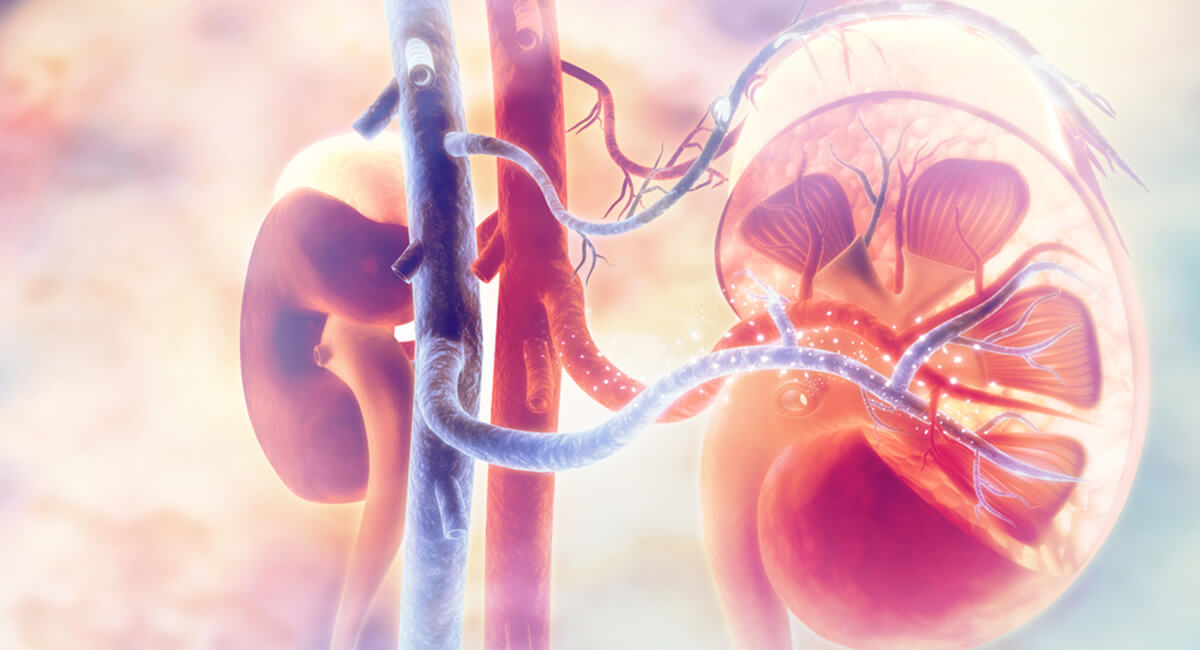 Máster en nefrología clínica, trasplante renal y hemodiálisis