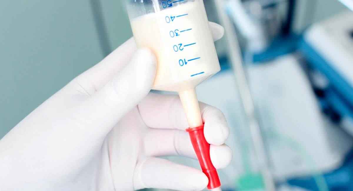 Curso internacional de soporte nutricional hospitalario