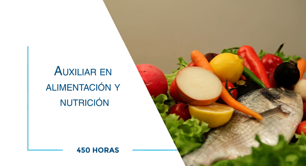 Auxiliar en alimentación y nutrición