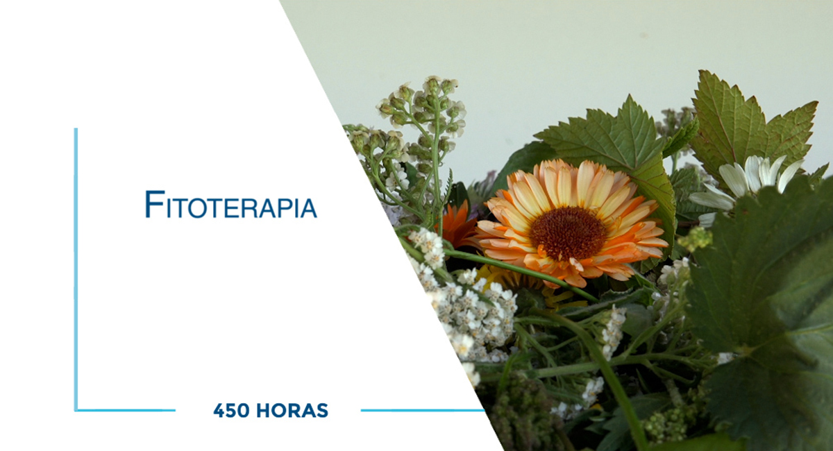 Curso de Fitoterapia