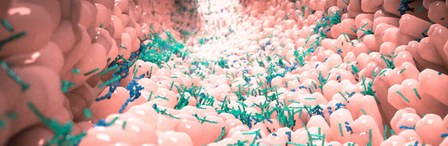 Curso internacional del papel del microbioma en la salud
