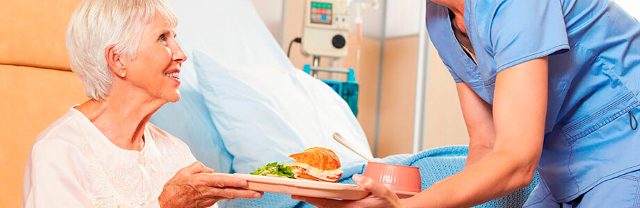 Experto universitario en nutrición especializada